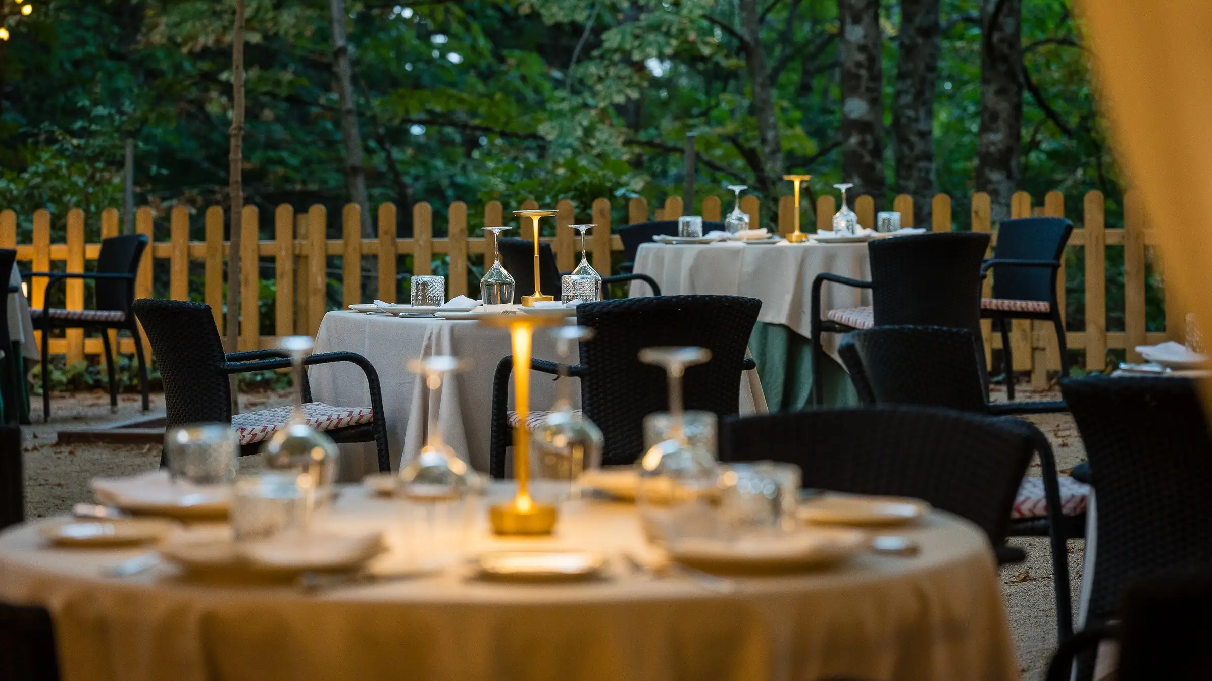 La terraza al anochecer: mesas vestidas con las lámparas encendidas, la valla de madera y el bosque detrás